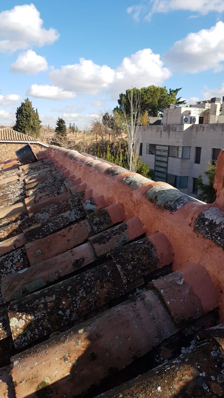 Empresa económica para protección duradera contra filtraciones en tejados de edificios residenciales y chalets